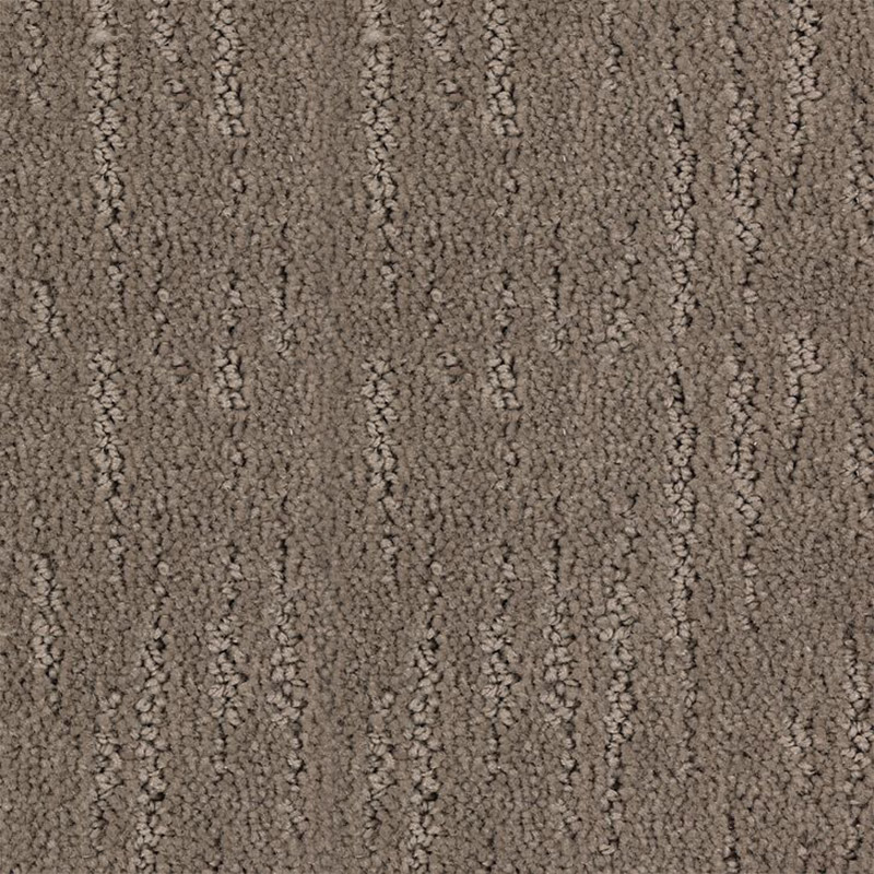 Eternal View Maple Buff