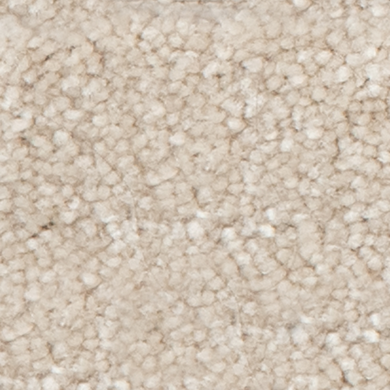 Thoughtful Idea 731 Rococo Beige