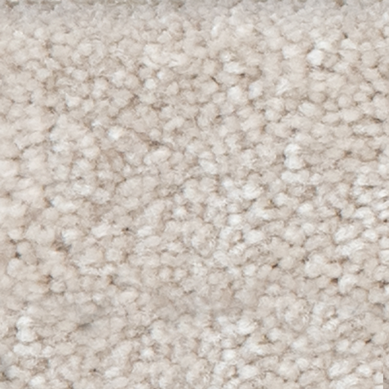 Thoughtful Idea 746 Quiet Eloquence