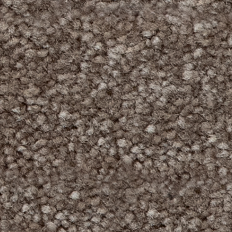 Thoughtful Idea Coco Mocha