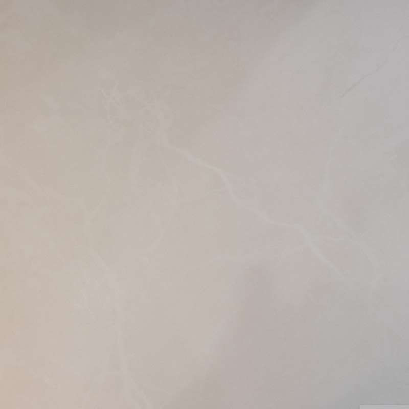 Universal Polished White Pulpis