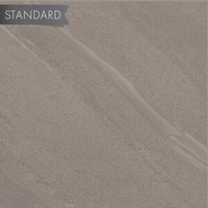 Echostone 12x24 Matte