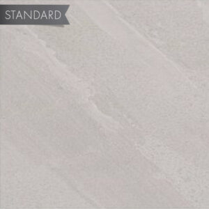 Echostone 12x24 Matte