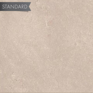 Terranova 12x24 Matte